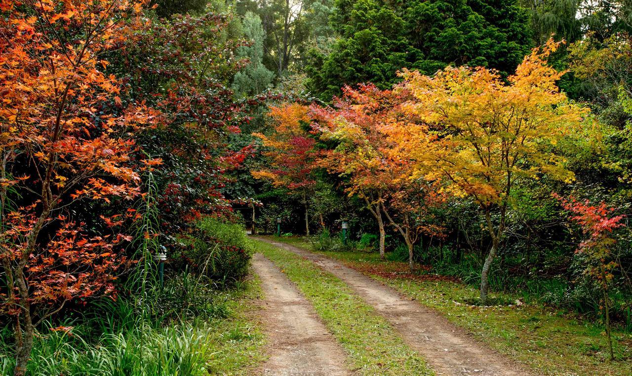 Back O' The Moon Holiday Cottage Hogsback Luaran gambar